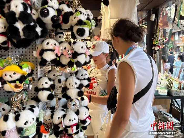 旗橄榄球运, 来自波兰的, 自由搏击运 旗橄榄球运, 来自波兰的, 自由搏击运