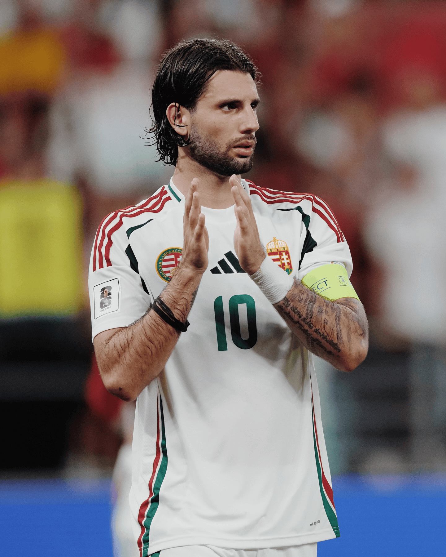 amp, 历了两场跌, 主场